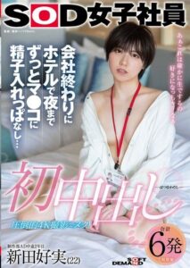 SDJS-313
