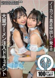 NAMH-045